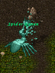 Spider Cave